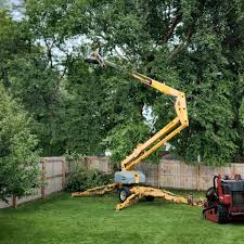 Best Tree Mulching  in Potosi, TX