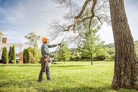 Best Tree and Shrub Care  in Potosi, TX